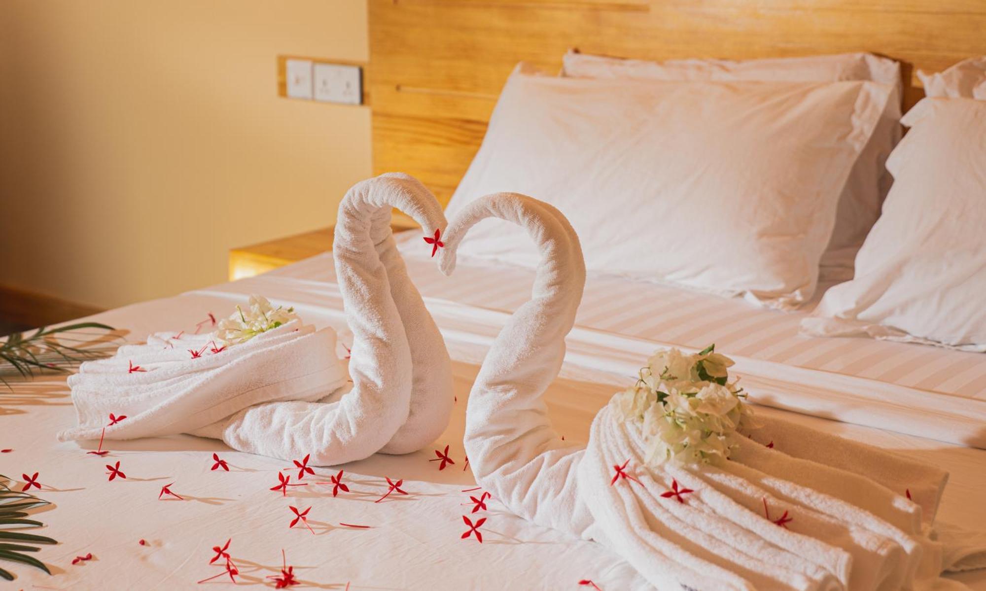 Relax Lodge Тодду Экстерьер фото